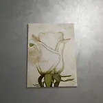 Lotus Twin Apartamento Mamaia
